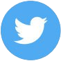 twitter icon